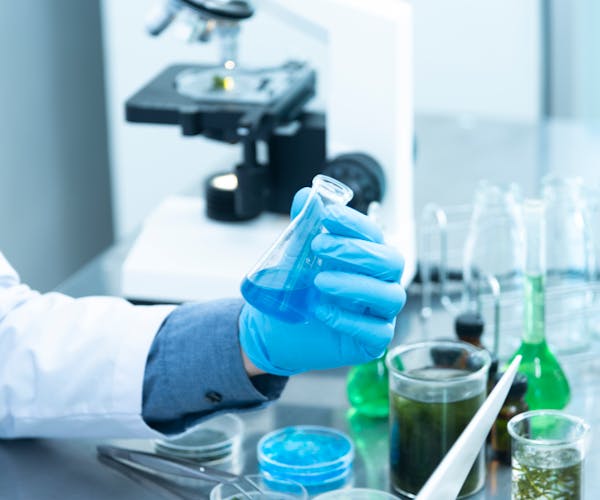 Laboratory quality testing